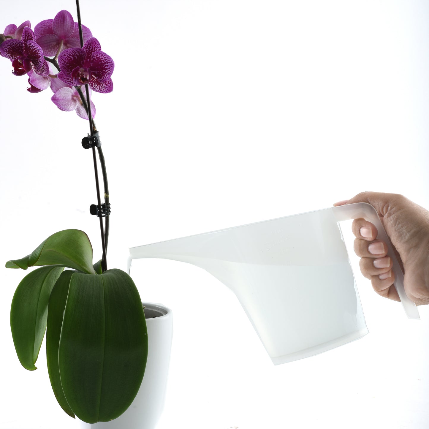 Funnel Measuring Pitcher